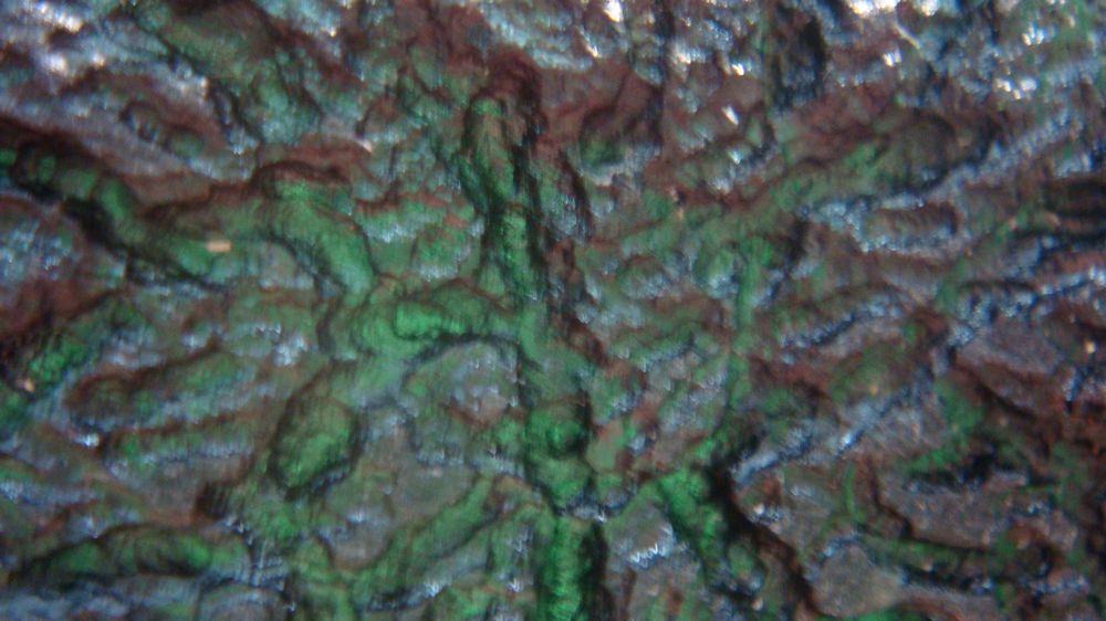 DSC01624.JPG