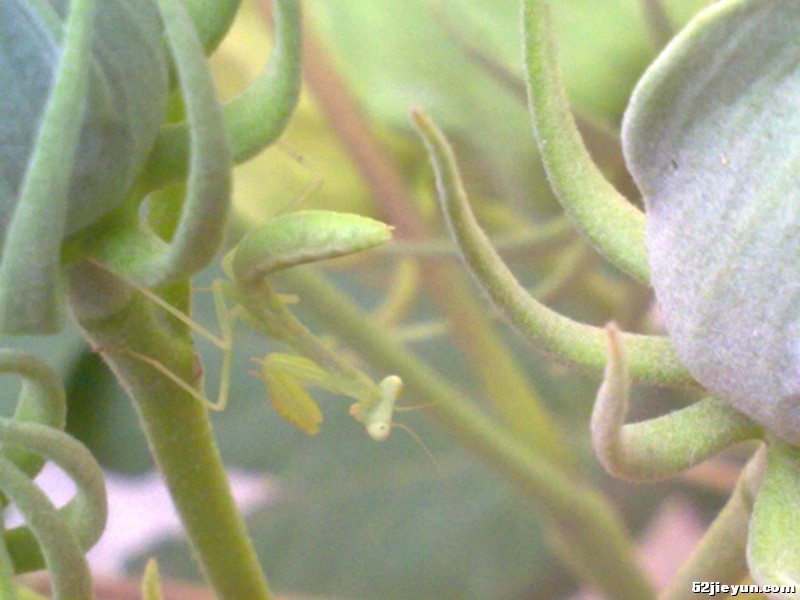 20110626322.jpg