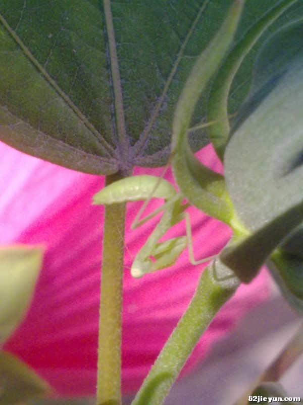 20110626331.jpg