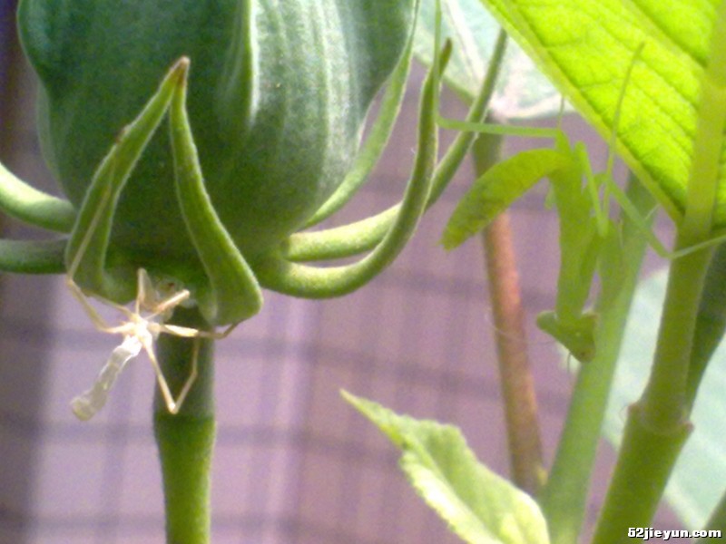 20110627332.jpg
