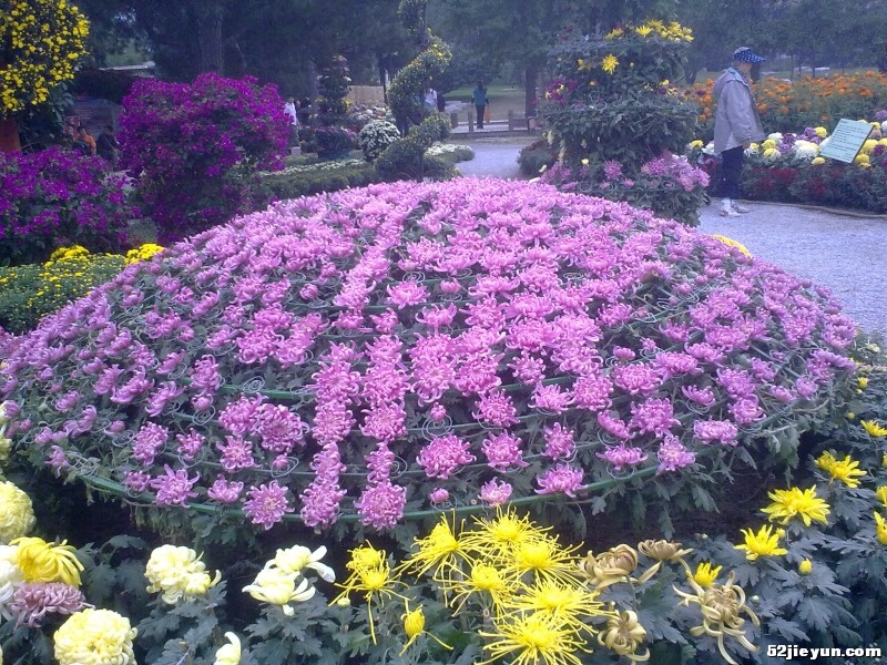 20110927415.jpg