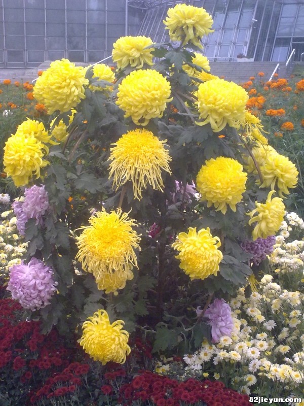 20110927420.jpg