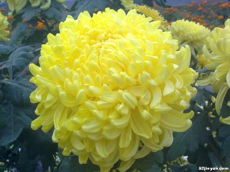 20110927424.jpg