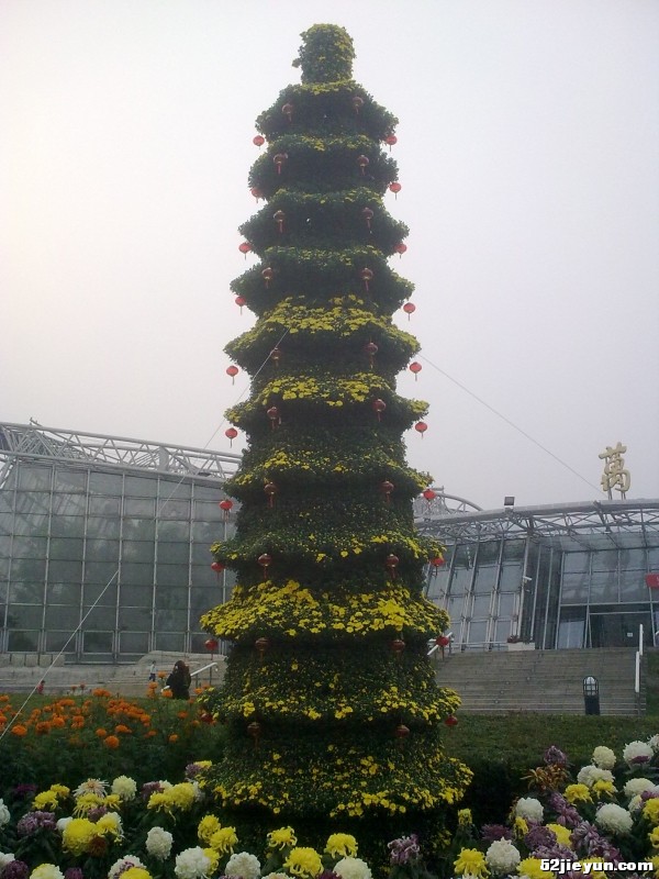 20110927426.jpg
