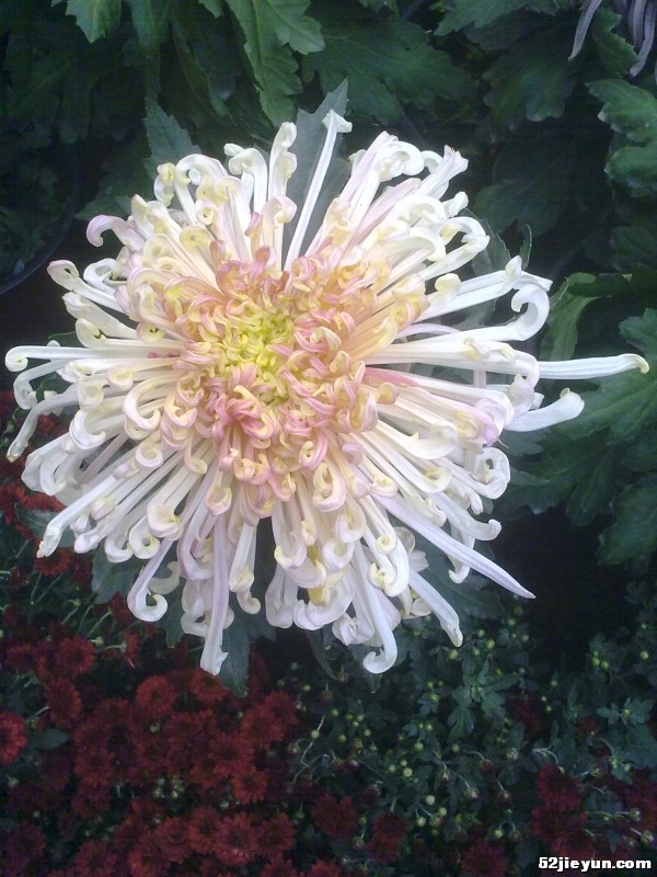 20110927427.jpg