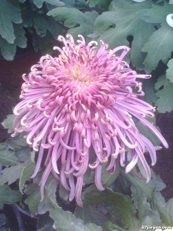 20110927428.jpg