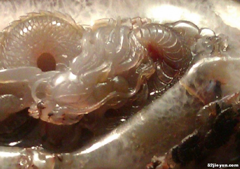 IMAG13442.jpg