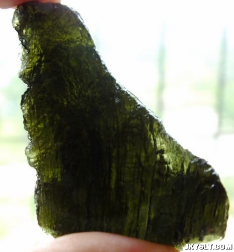 DSCF5016.jpg