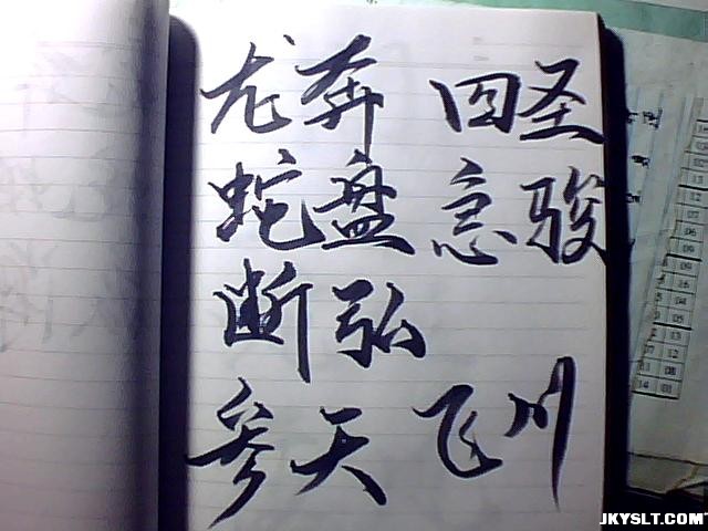 ͼƬ 009.jpg