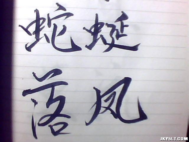 ͼƬ 010.jpg