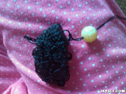 IMG_20120726_131809.jpg