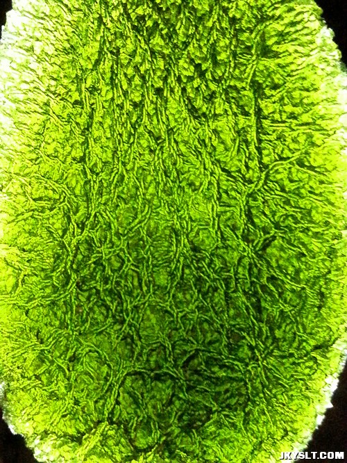 20120914_224740.jpg