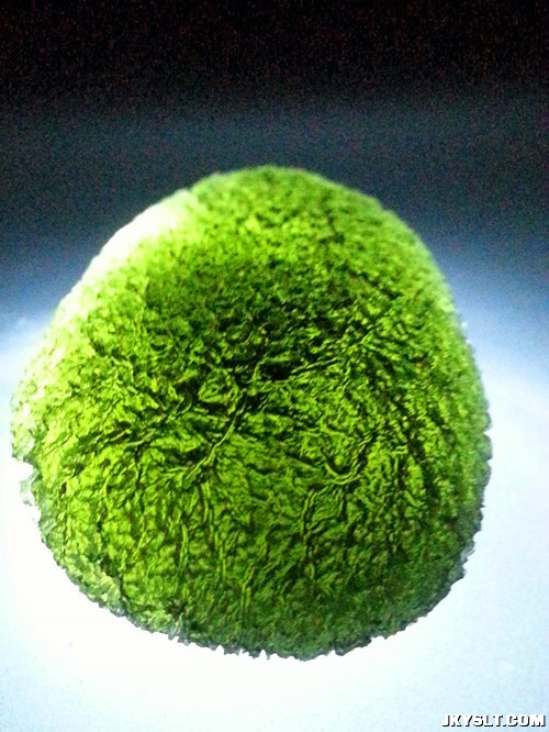 20120916_221853.jpg