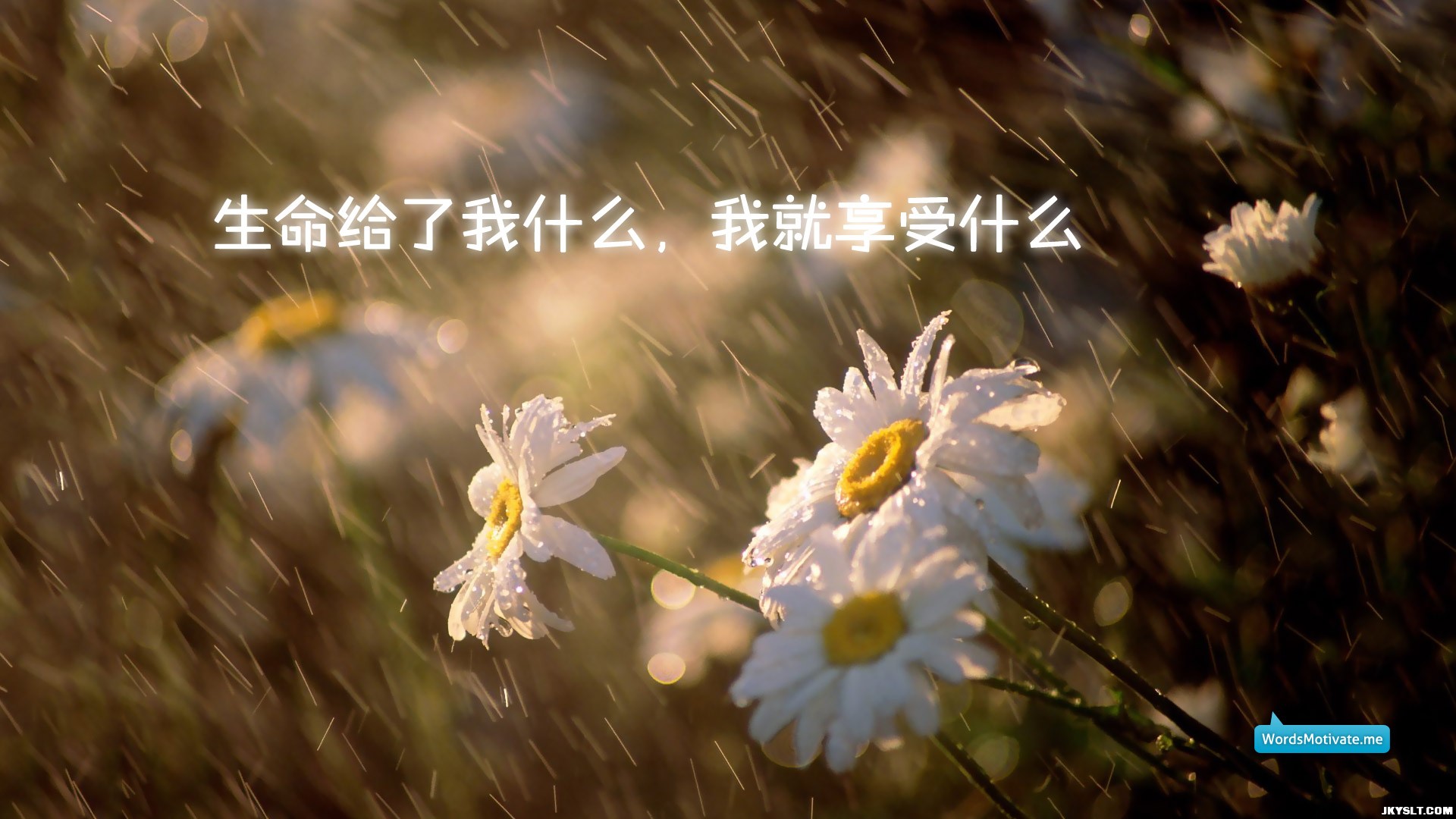 jianyue_mingyan-033.jpg
