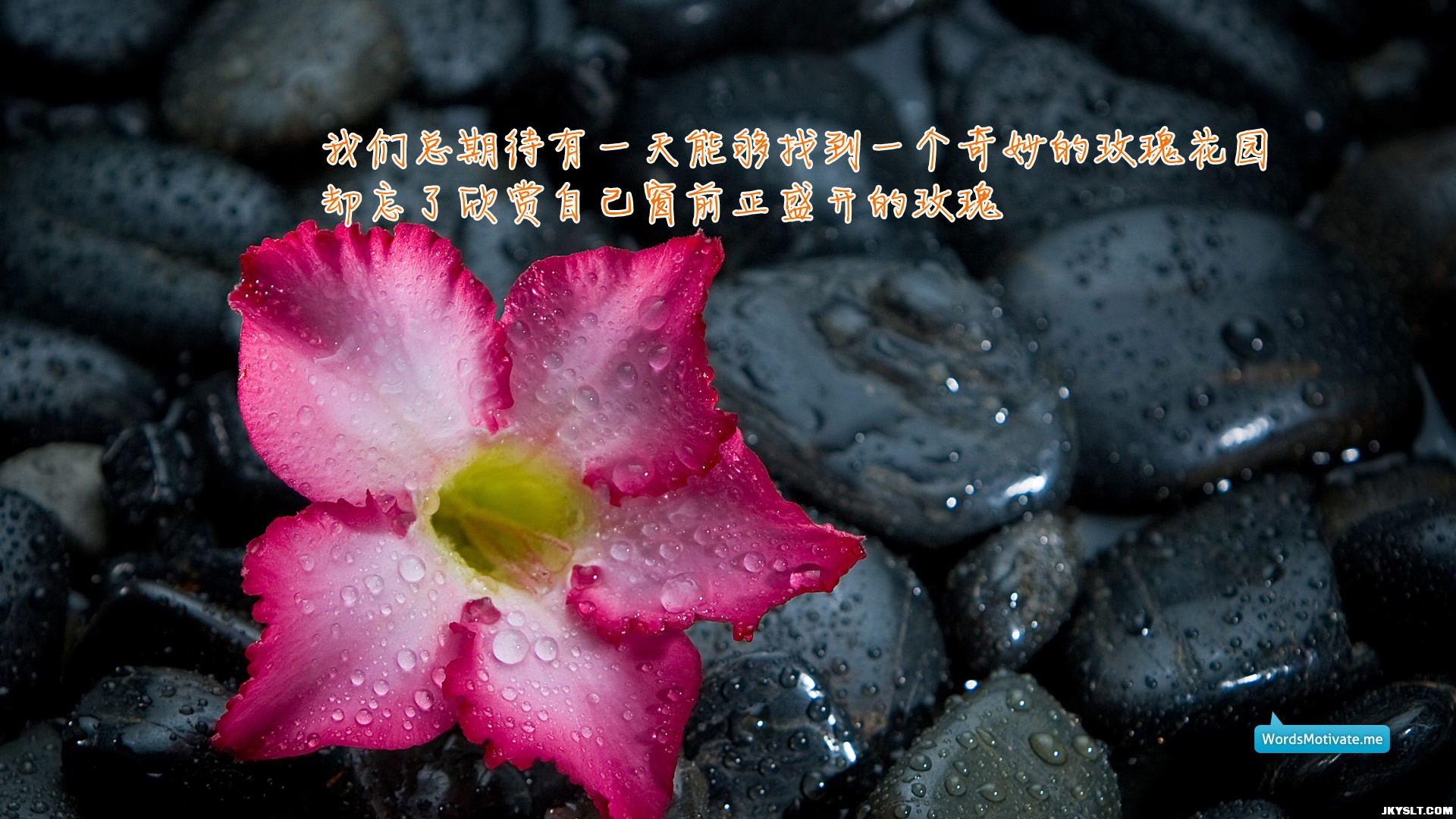 jianyue_mingyan-067.jpg
