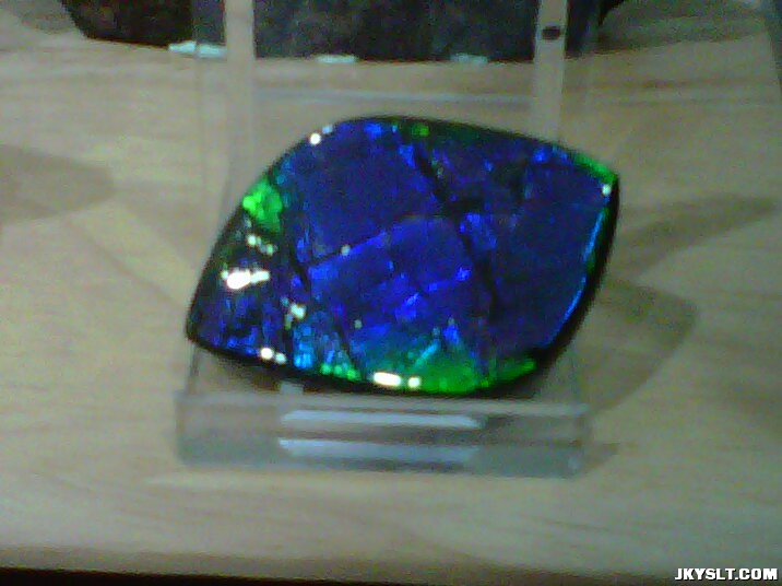 ammonite(i love very much^^).jpg