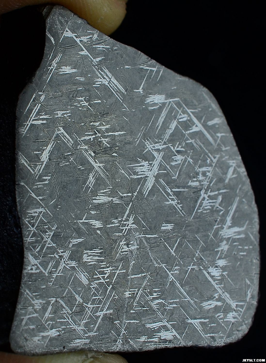 DSC_0693.JPG