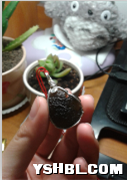 QQͼ20130426133029.png