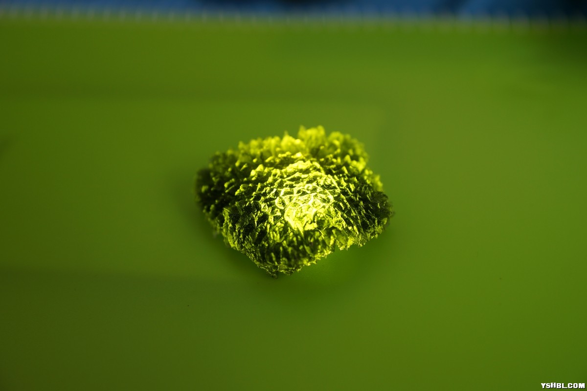 DSC03164.jpg