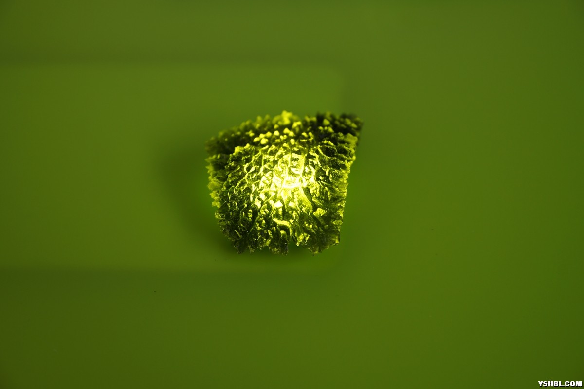 DSC03173.jpg