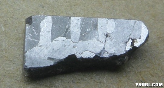 545456.jpg