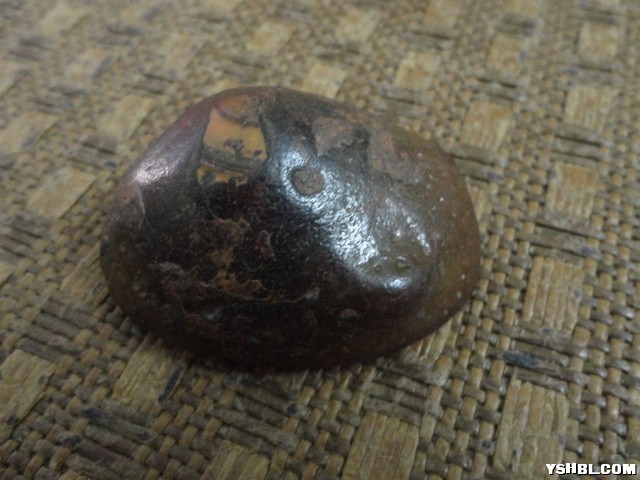 DSC01102.JPG