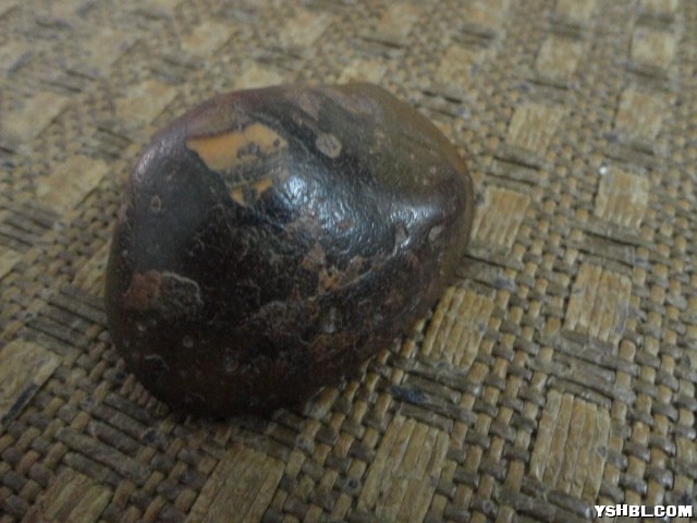 DSC01103.JPG