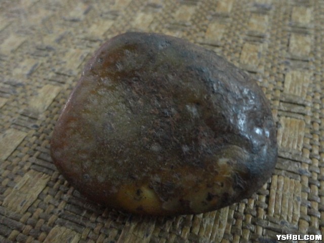 DSC01105.JPG