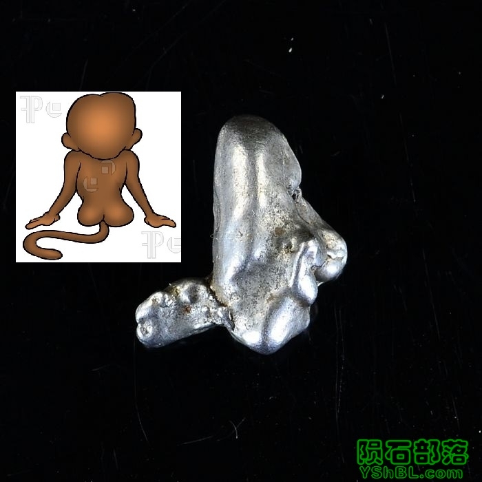 monkey.jpg