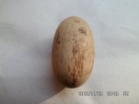 psb (3).jpg