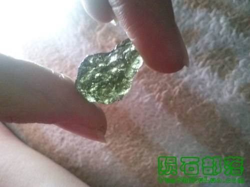 CAM04252.jpg