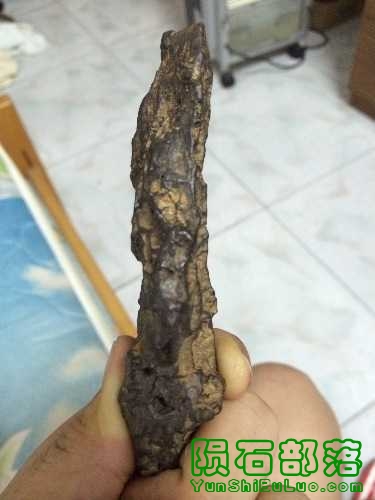 image.jpg