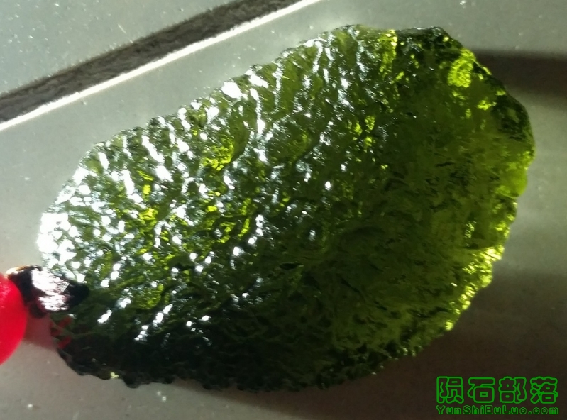 2f.jpg