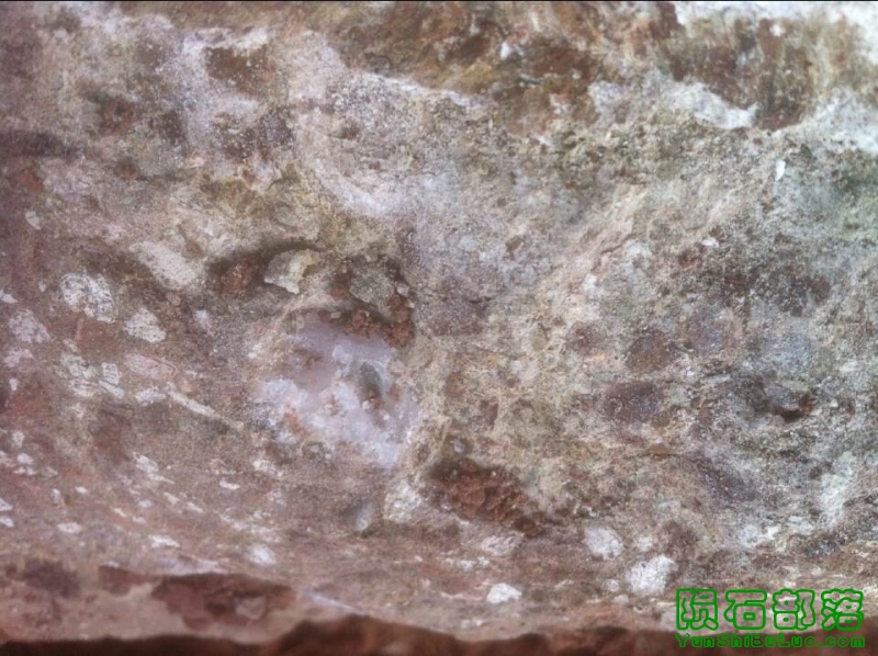 QQͼƬ20141014155659.jpg