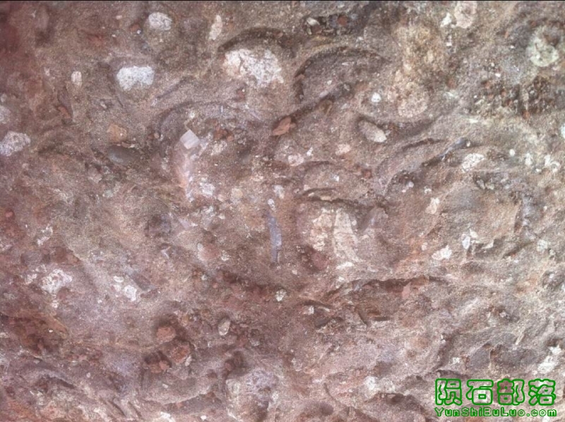 QQͼƬ20141014155719.jpg