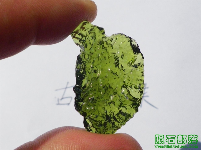 IMGP6848_ͼ.jpg