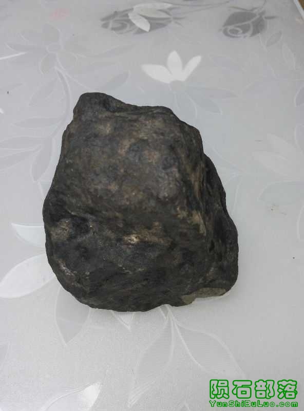 16541