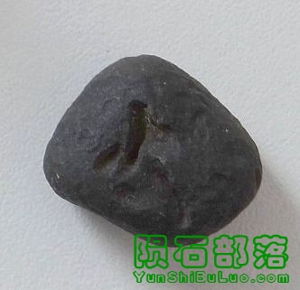 cintamani.jpg