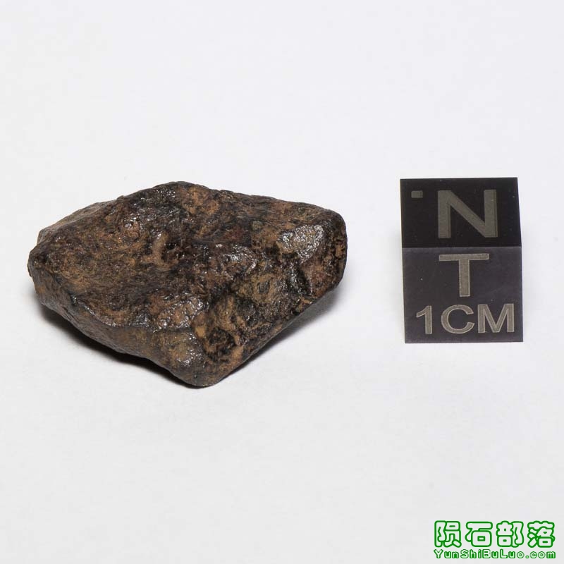 Gibeon Meteorite