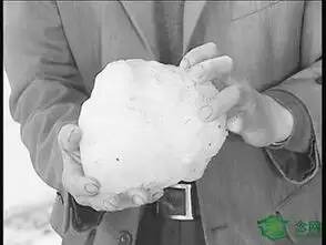 Ĵ콵100¼ʾ3.jpg
