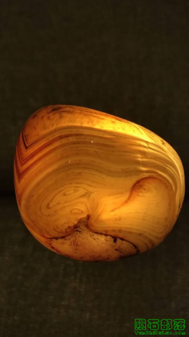 S__54550531.jpg