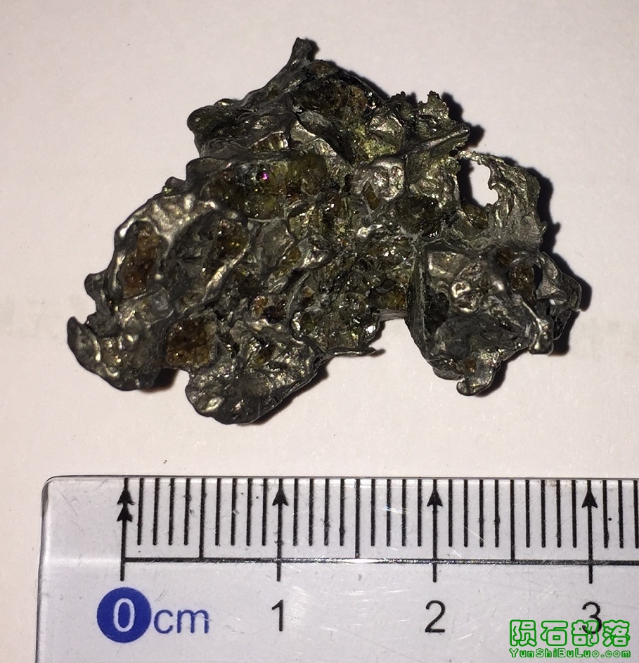 2017-10-23 160027.jpg