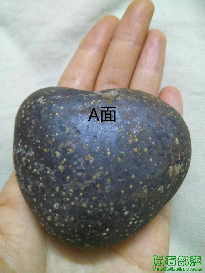 afe9e32ecfb9050.jpg