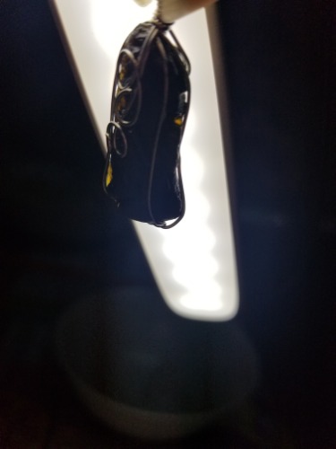 20190521_205114.jpg