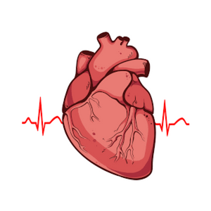Heart-Care.png