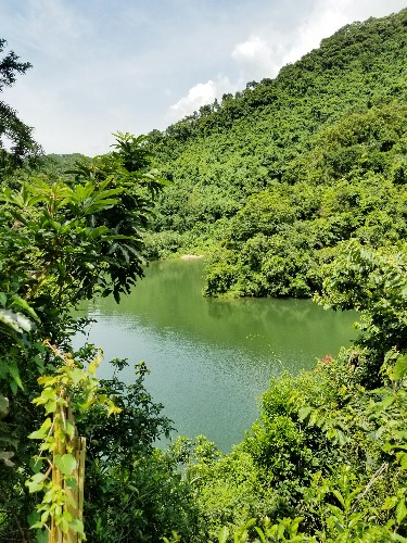 20190727_140328.jpg
