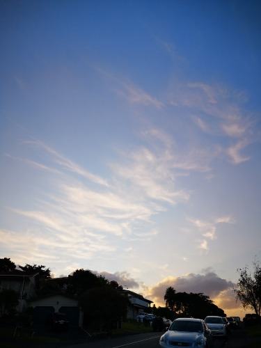 IMG_20200414_173336.jpg