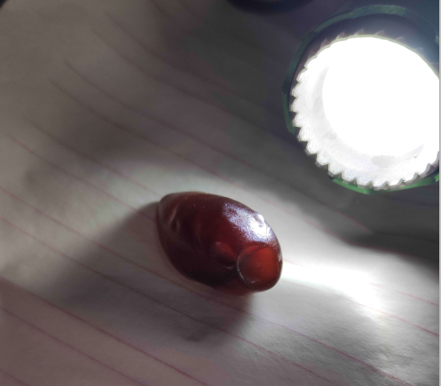 QQͼƬ20210120215500.png