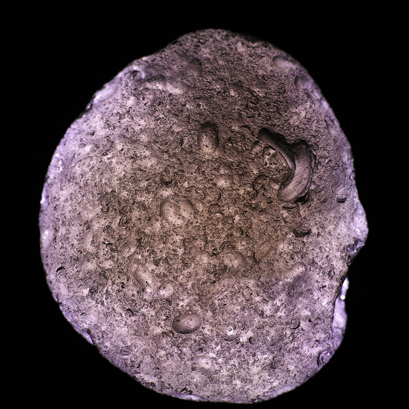 SDIM0254.JPG