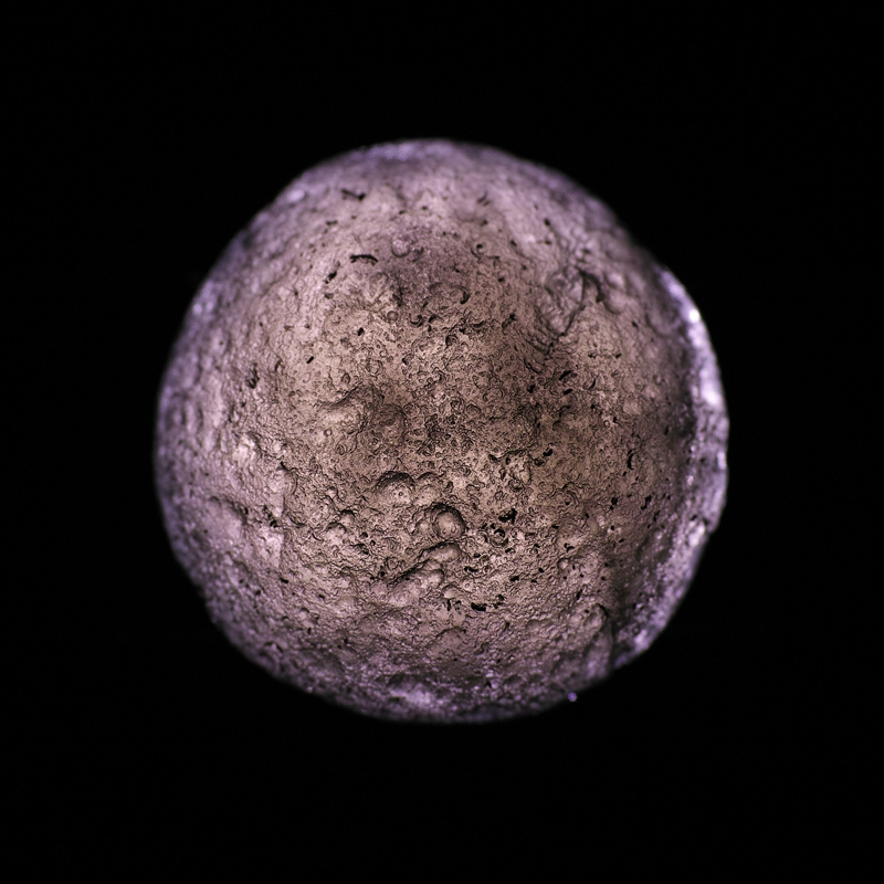 SDIM0264.JPG